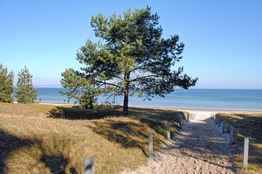 Strandvilla Aegir Mit Ostseeblick 빈츠 외부 사진